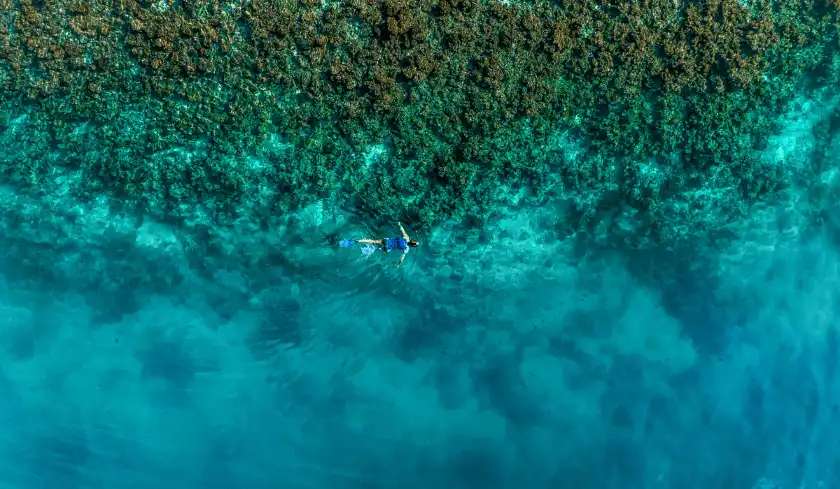 Snorkeling activity